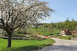 Village of Zivica