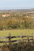 Gornje Crniljevo - panorama