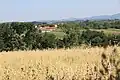 Село Клинци - панорама