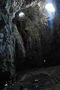 Petnica cave