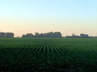 Fields in Argentina