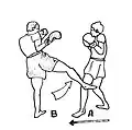 An outside leg kick.