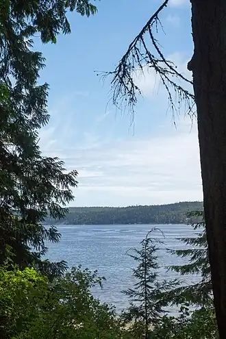 Bay