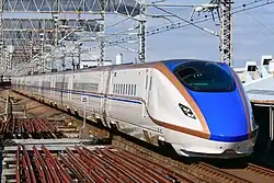 Set F29 of the E7 series Shinkansen on a Tanigawa 410 service entering Omiya Station