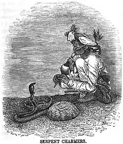 Serpent Charmers[21]