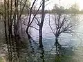 Spring flood