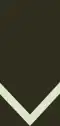 Lance corporal (Seychelles Infantry Unit)[54]