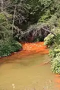 Above Quaker Run