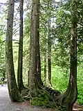 Shannon Falls Provincial Park