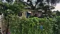 A wooden shed.