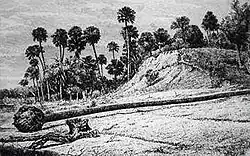 Image 23A shell midden at Enterprise, Florida in 1875. (from History of Florida)