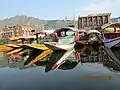 Shikar of Dal Lake