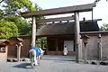 A white horse wearing blue and crimson dressing in front of a shrine.