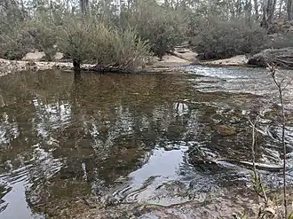 The Shoalhaven at Berlang camping area in 2020