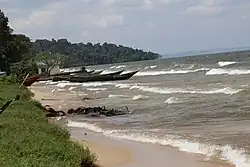 Shores of Lake Victoria at Ssese Islands.jpg