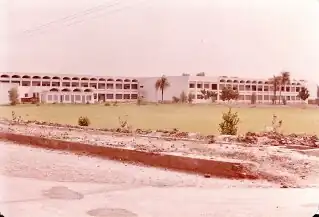 Side View