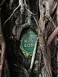 The roots of an old banyan tree covering a wall and a plaque
