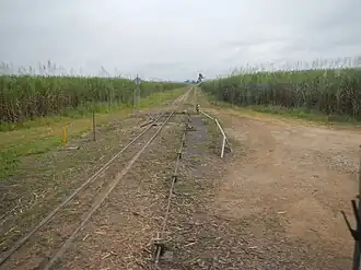 Cane tramway through Silky Oak, 2013