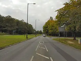 "long tree-lined road"