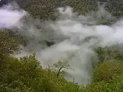 Sisangan National Forest