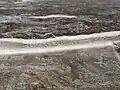 Rock Bed Inscriptions