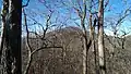 Slaughter Mountain viewed from the Appalachian Trail