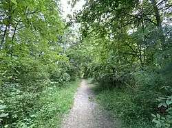 A hiking and horse trail runs along parts of the perimeter of the lake.