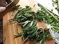 Slicing lotus leaves
