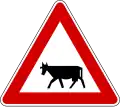 I-17 Cattle on the road