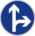 II-46.1 Proceed straight or turn right.