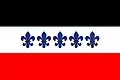 Flag of Služátky