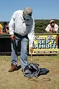 A snake reenters its bag after being shown to the audience