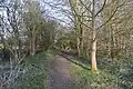 Snakemoor