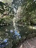 Koi fish in the Snapper Creek Waterway at Pinecrest Gardens