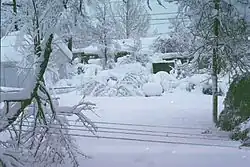 The Veteran's Day storm of November 9–14, 1996. At the height of the storm, over 160,000 customers were without power in Greater Cleveland alone, as the storm produced isolated snowfall tallies approaching 70 inches (178&nbsp;cm).