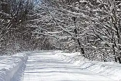 Snow-covered country road.
