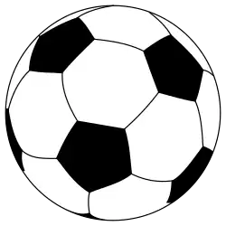 Shirt badge/Association crest