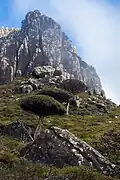 Mount Skand