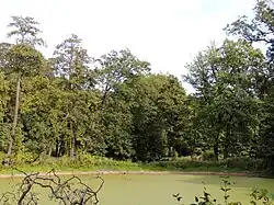 Park