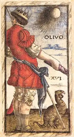 XVI. Olivo [j][z]