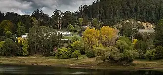 Bogong, 2014