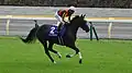 Songline