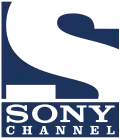 Sony Channel logo used from 2016–2019