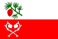 Flag of Sosnová