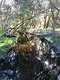 Source of Bull Creek, Western Australia