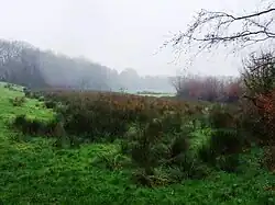 1. River source.