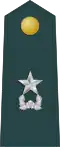 Lesser general