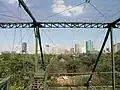 Pretoria skyline seen from within the aviary