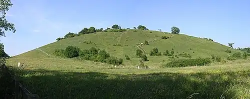 From the south