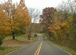 Autumn foliage in Southside